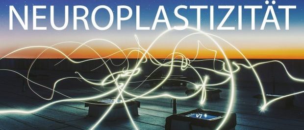 Neuroplastizität - Wie Meditation das Gehirn verändert, Potenzial ...