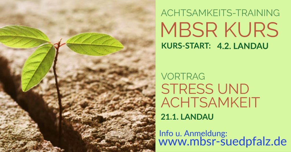 MBSR Kurs Landau
