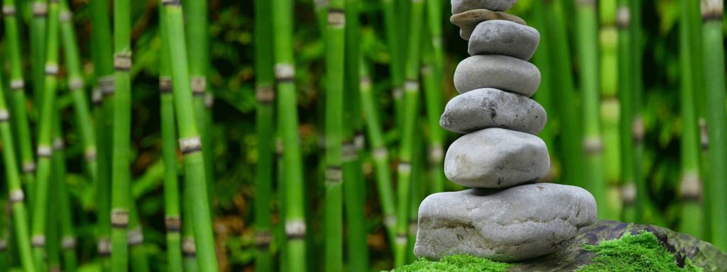 Zazen und Meditation