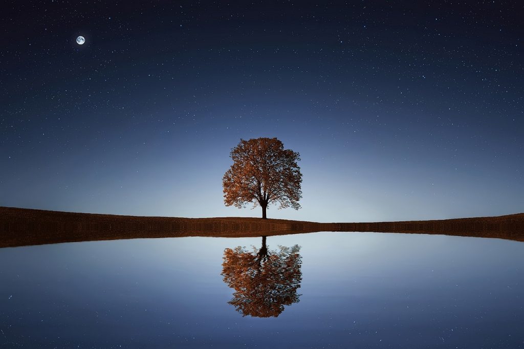 Reflexion zum Jahreswechsel. Ein Baum spiegelt sich im fahlen Nachtlicht im See.