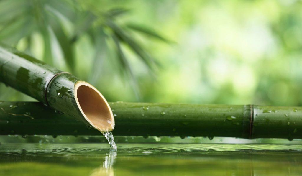 Ein Bambus aus dem Wasser in einen Teich fließt, der selbs von Bambus umgeben ist.
ZEN Südpfalz - Termine